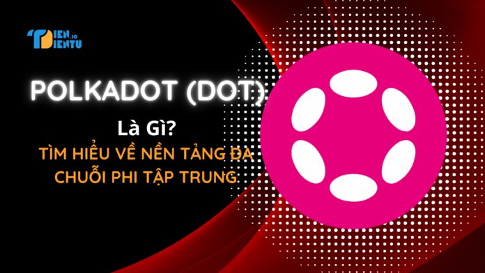 Polkadot Là Gì? Polkadot Là Gì?